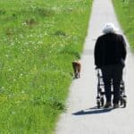 Narrow Walkers For Seniors