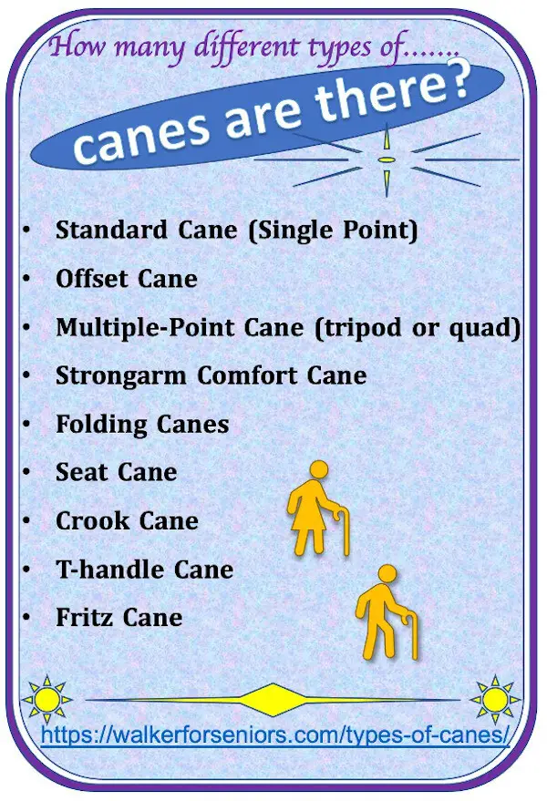  types of canes infographic 